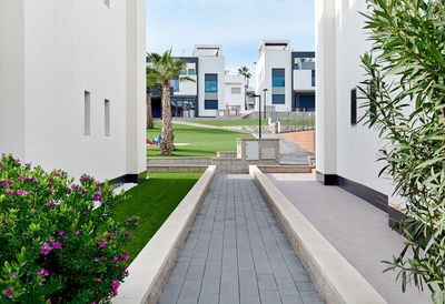 Footpath amidst plants and buildings against sky