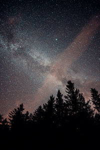 Low angle view of silhouette trees against sky at night