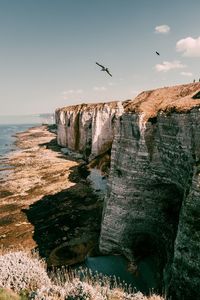 Bird on rock formation in sea against sky
