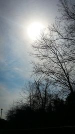 Low angle view of bare trees against sky