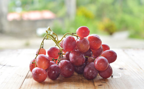 Close-up of grapes on table