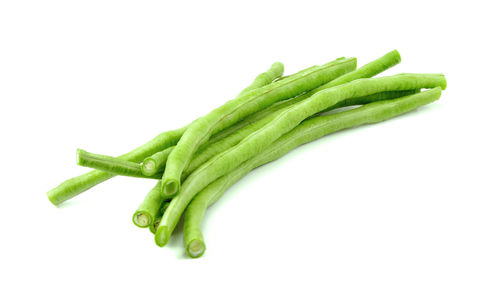 Close-up of green leaf against white background