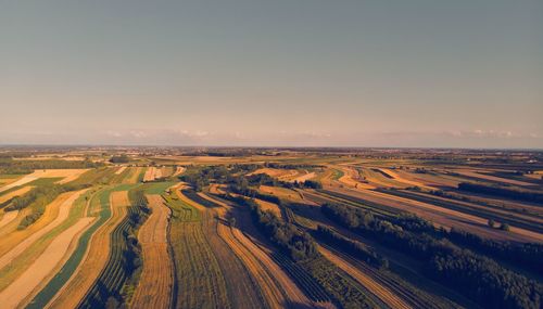 Aerial view of agricultural field against clear sky