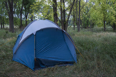 View of tent in forest