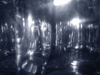 View of illuminated trees at night