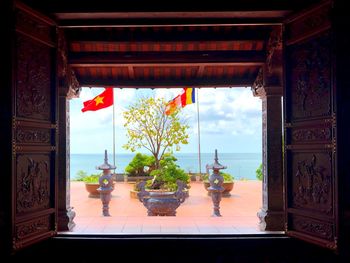 Potted plants against window of building