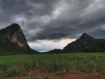 Scenic view of field against sky