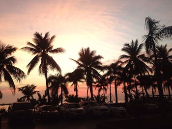 Silhouette palm trees on beach against sky at sunset