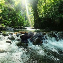 Scenic view of waterfall