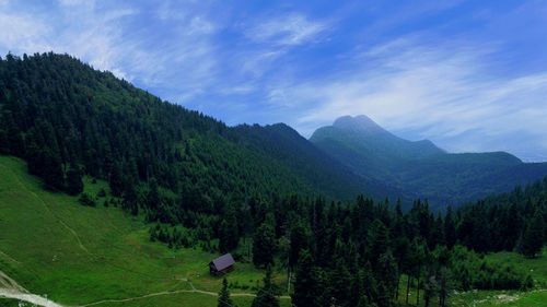 Scenic view of trees and mountains against sky