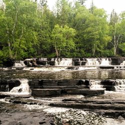 Built structure in a forest