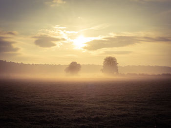 Scenic view of field against sky during sunset