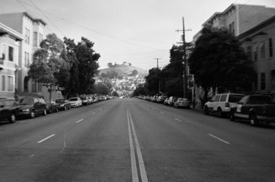 Vehicles on road along trees