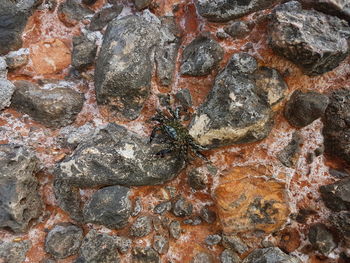 Full frame shot of rock