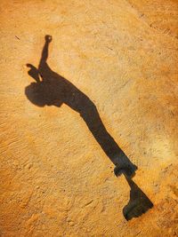 Shadow of person on land