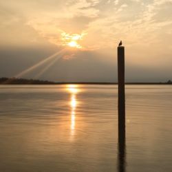 Scenic view of sunset over sea