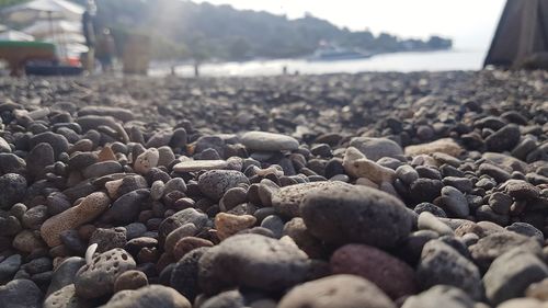 Close-up of stones on beach