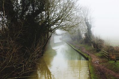 View of canal along trees