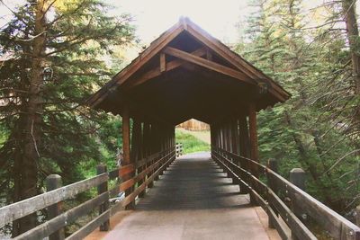 Gazebo in forest