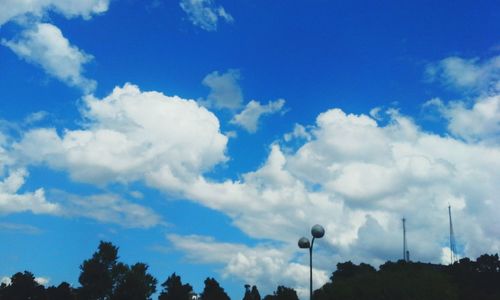 Low angle view of trees against blue sky