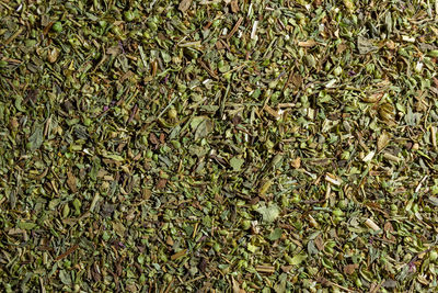 grass