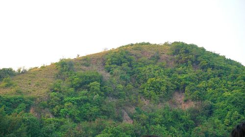 Scenic view of mountain against clear sky