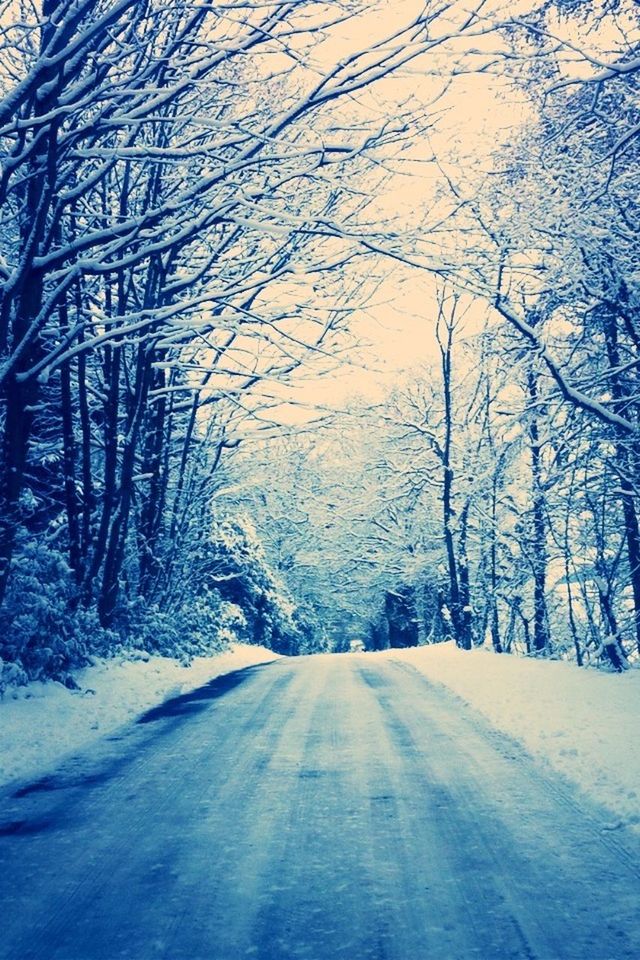 snow, cold temperature, winter, season, bare tree, tree, the way forward, weather, covering, road, frozen, nature, tranquility, transportation, diminishing perspective, street, no people, covered, day, outdoors