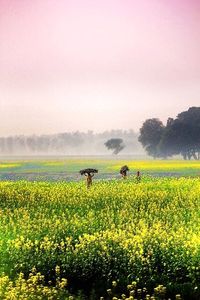 Scenic view of field against cloudy sky