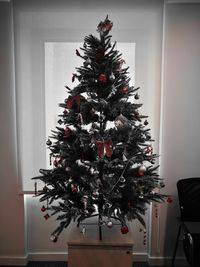 Christmas tree at home