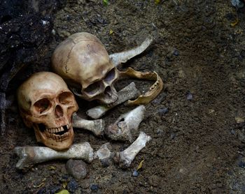 High angle view of human skull on ground