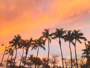 Silhouette palm trees against romantic sky at sunset