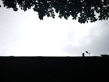 Low angle view of silhouette trees against sky