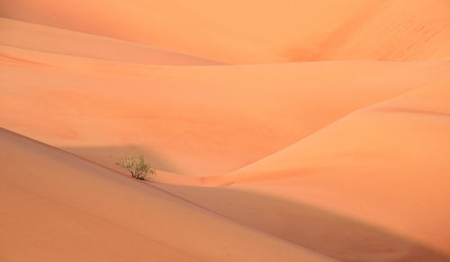 Close-up of sand dunes in desert