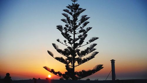 Silhouette of tree against clear sky