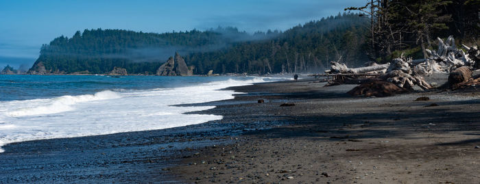 Driftwood on beach against sky