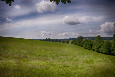 Scenic view of landscape against sky