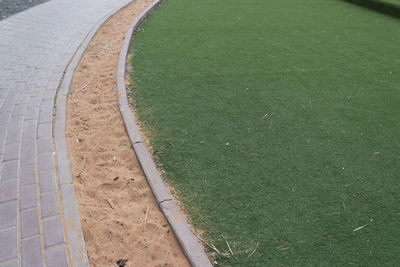 High angle view of leaf on field