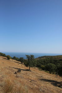 Scenic view of land against clear blue sky