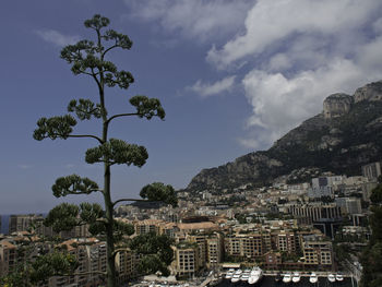 Monaco city