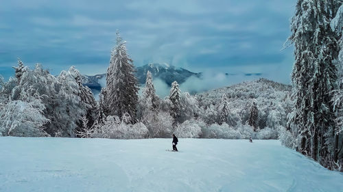 Man skiing on snowfield