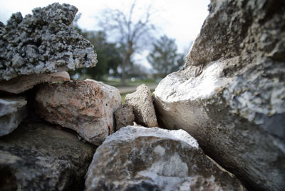 Close-up of rocks on snow covered rock