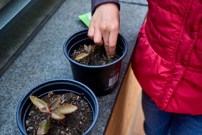 Girl putting fertilizer for potted plants in early spring