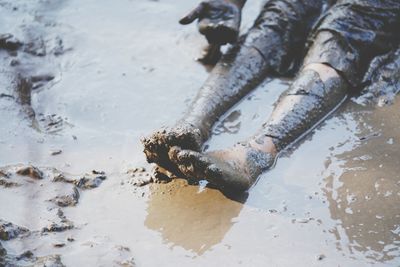 High angle view of mud on beach