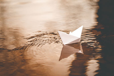 High angle view of paper floating on water