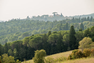 Trees and buildings against clear sky