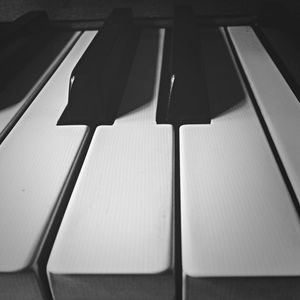 Row of trees in the dark