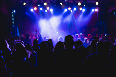 Crowd at music concert