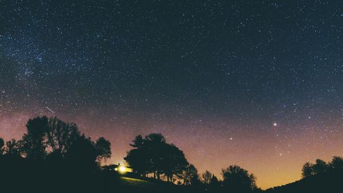 Low angle view of silhouette trees against sky at night