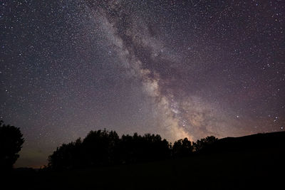 Silhouette trees against star field at night