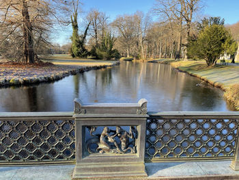 View of dog by lake